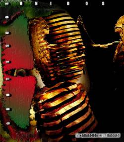 Grotescos Sonidos de Animación Experimental